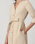 RAINE DRESS