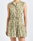 BRIAR DRESS
