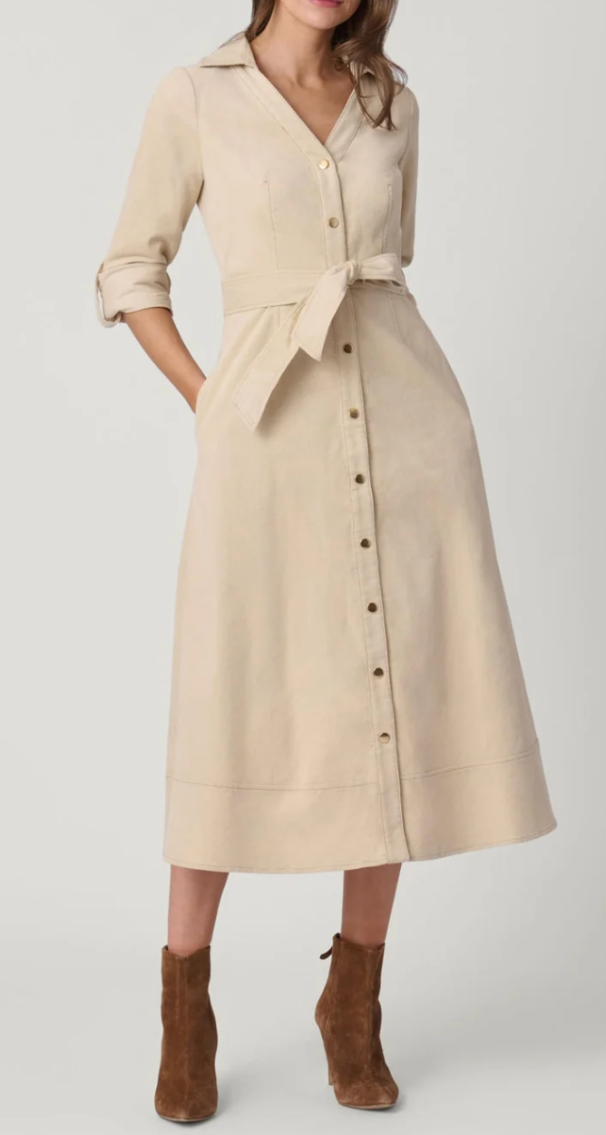 RAINE DRESS