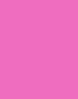 CASHMERE CREW (MORE COLORS)